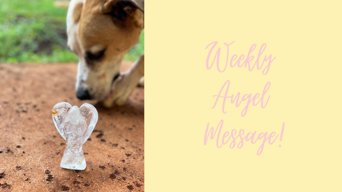 Angel Message - August 23, 2021
