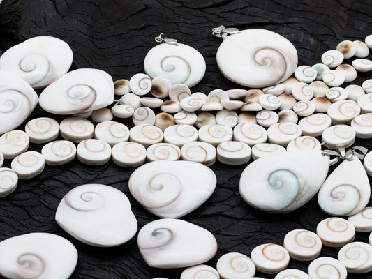 Shiva Eye Shells: From Childhood Wonder to Spiritual Symbol