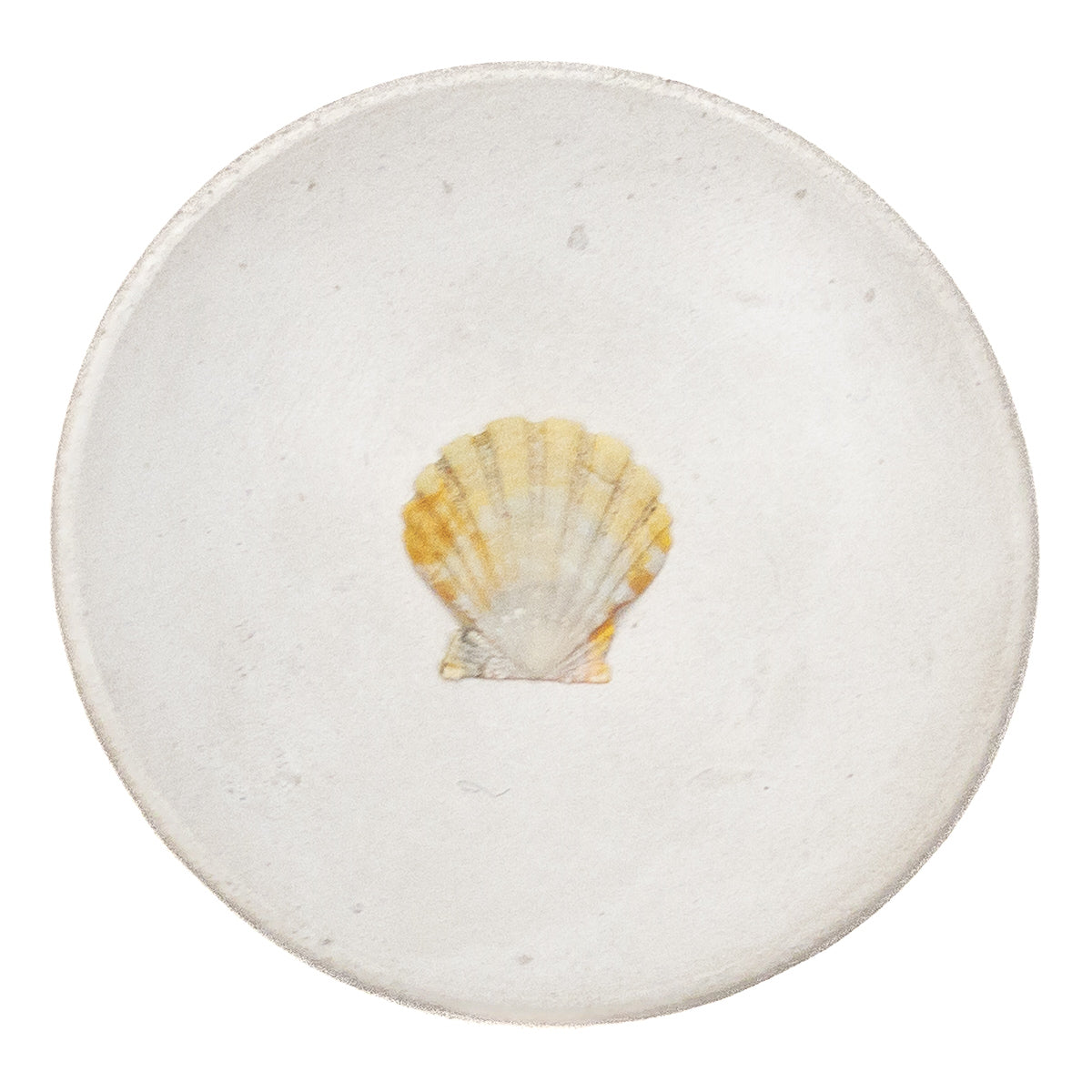 Basic Light Yellow Hawaiian Sunrise Shell - 1 pc.