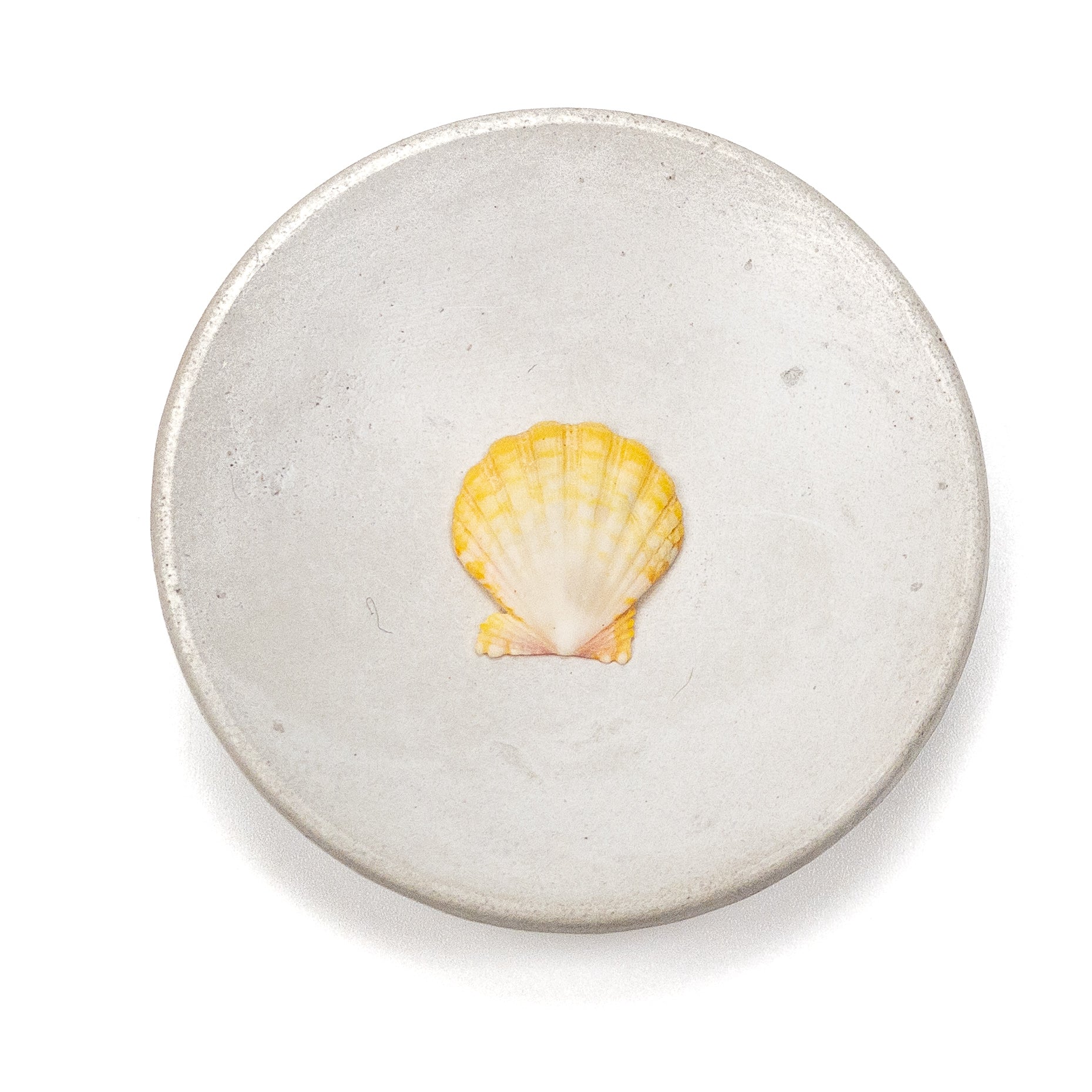 Hawaiian Sunrise Shell (Small/Medium) - 1 pc.