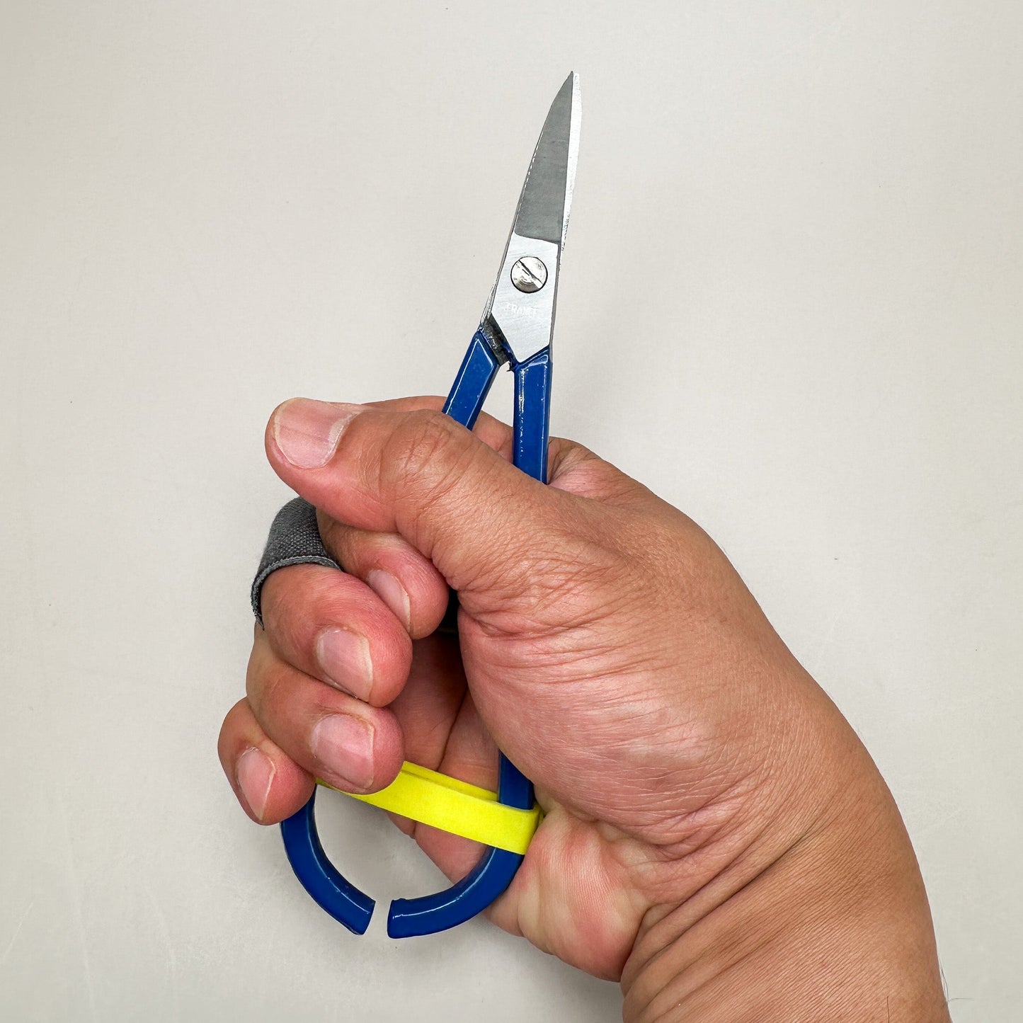 Metal Shears - Blue Handle (TOOLB2/B)